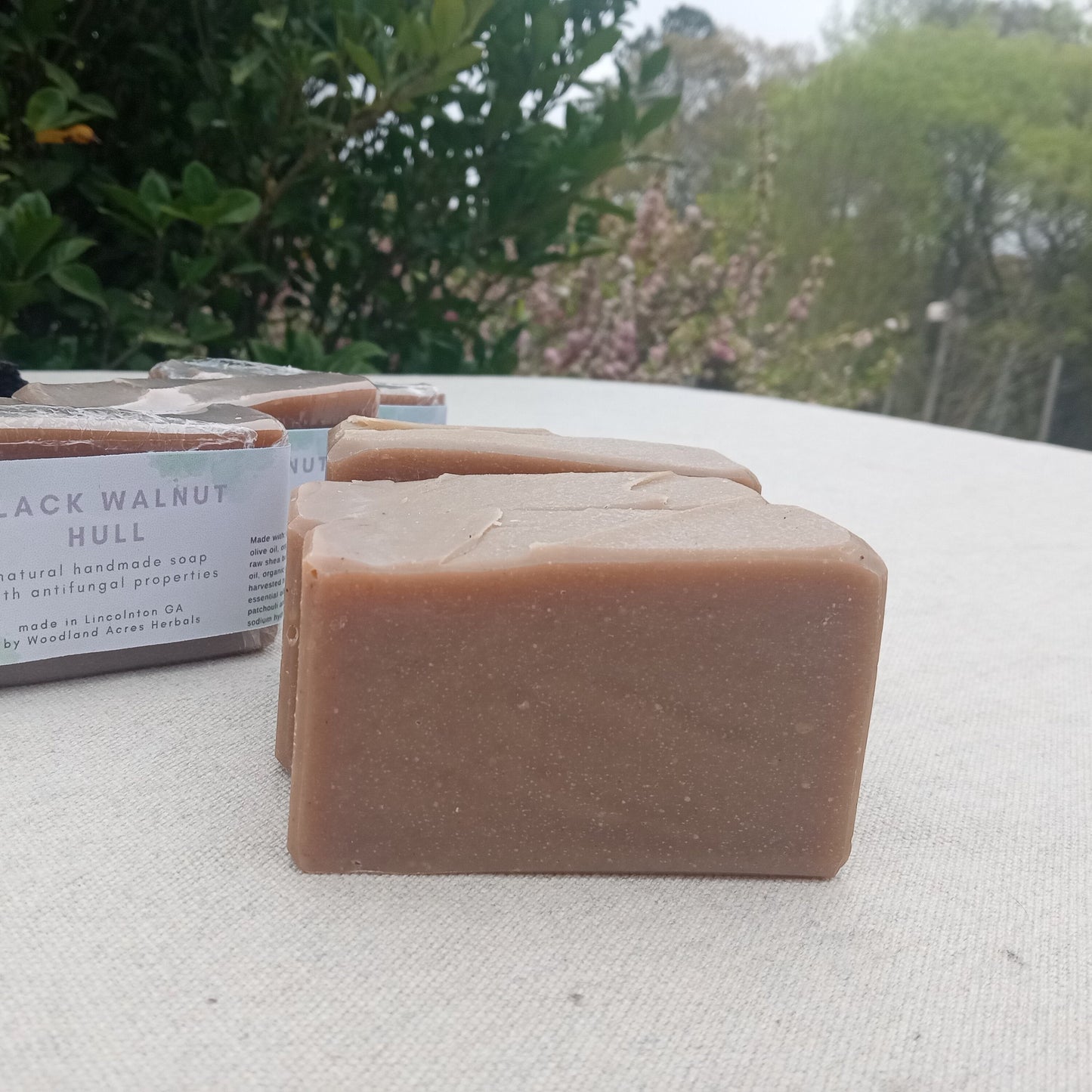 Hiker's Sidebar - Black Walnut Hull Soap with Tea Tree & Neem - Cold Process Herbal Soap for Athletes and Nurses - Natural Vegan Bar Soap with Coconut Oil