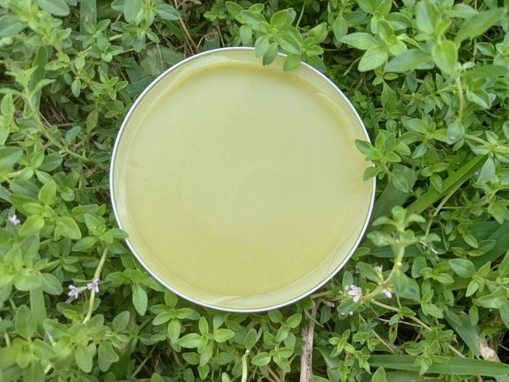 Be Brave Balm with Thyme, Echinacea & Lemon Balm - Handcrafted Herbal Skincare Ointment - Chemical-Free Skin Care - Herbal Salve