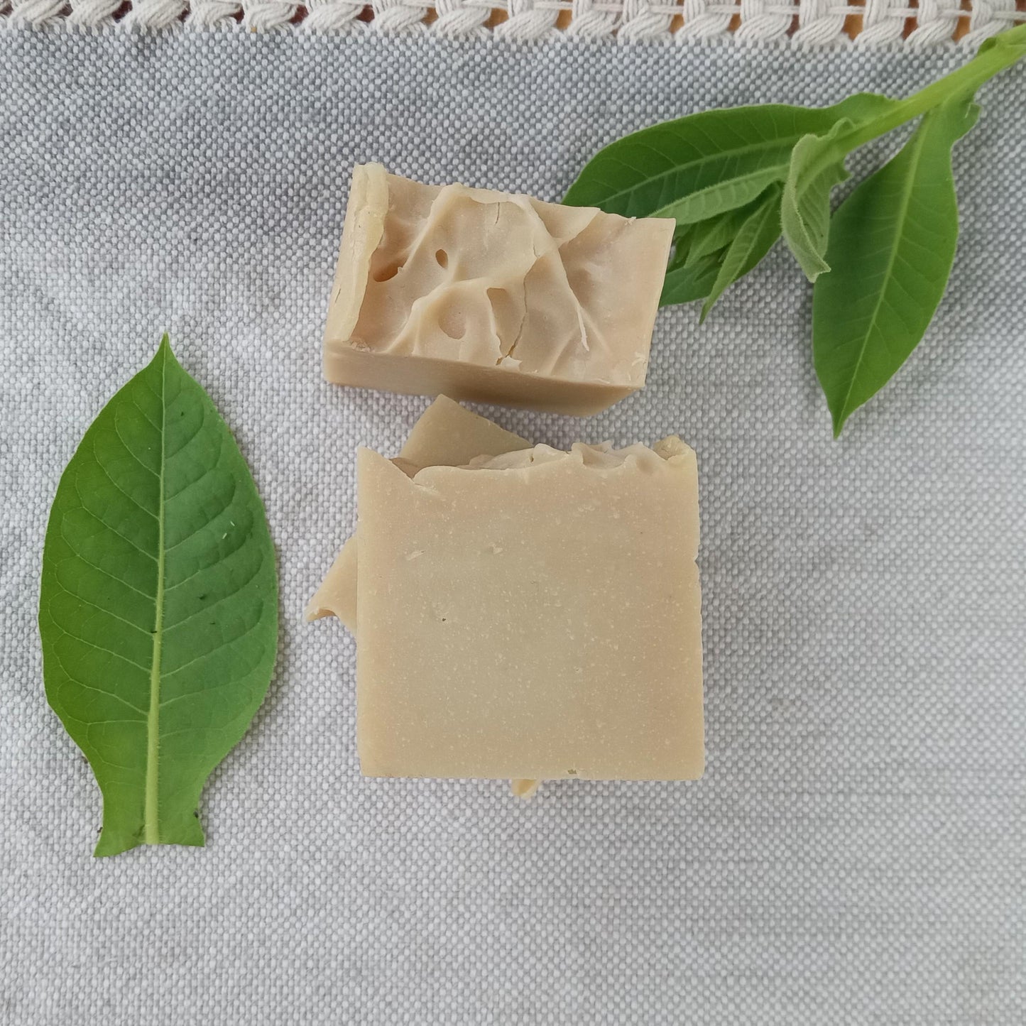 Tobacco & Neem Oil Soap for Men Handmade with Olive Oil, Shea Butter and Tallow Infused with Fresh Tobacco, Scented with Pure Essential Oils
