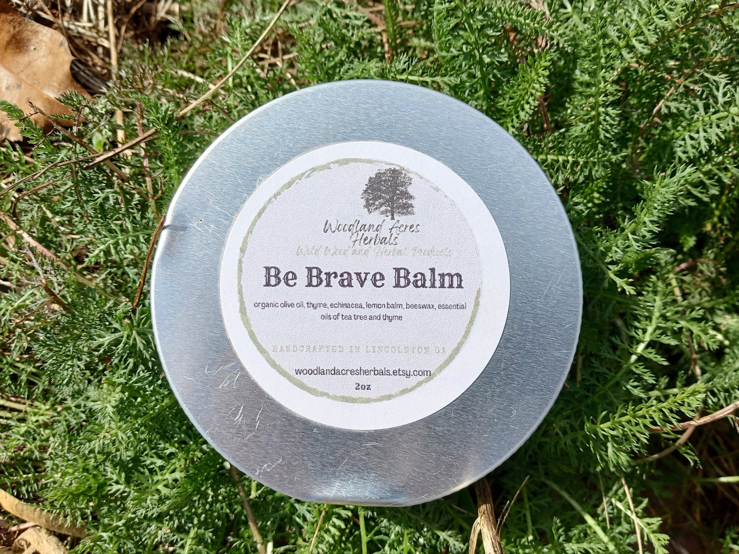 Be Brave Balm with Thyme, Echinacea & Lemon Balm - Handcrafted Herbal Skincare Ointment - Chemical-Free Skin Care - Herbal Salve