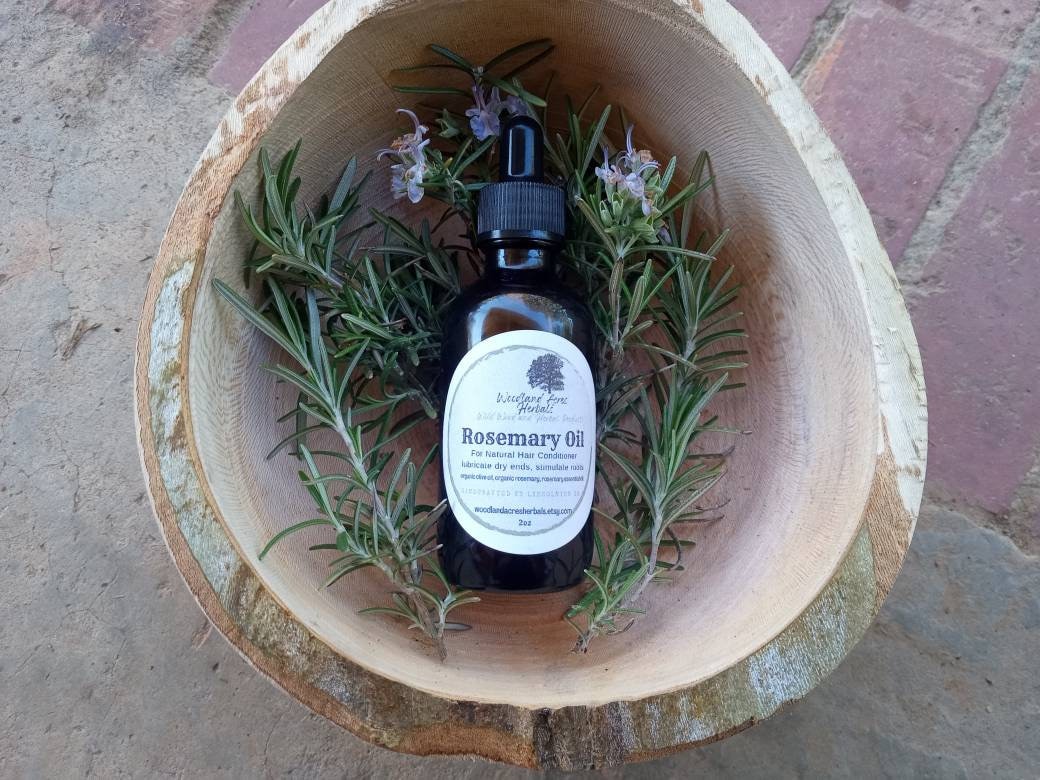 Fresh Organic Rosemary Infused Olive Oil for Natural Hair Care - Aromatic Herbal Carrier Oil for Forest Perfume Base - 2oz Rosemary Oil