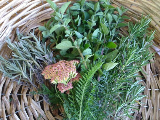 Vein Salve with Yarrow, Calendula, Cypress & Geranium - Herbal Toning Ointment - Gifts under 30 for Her - Natural Hemorrhoid Relief