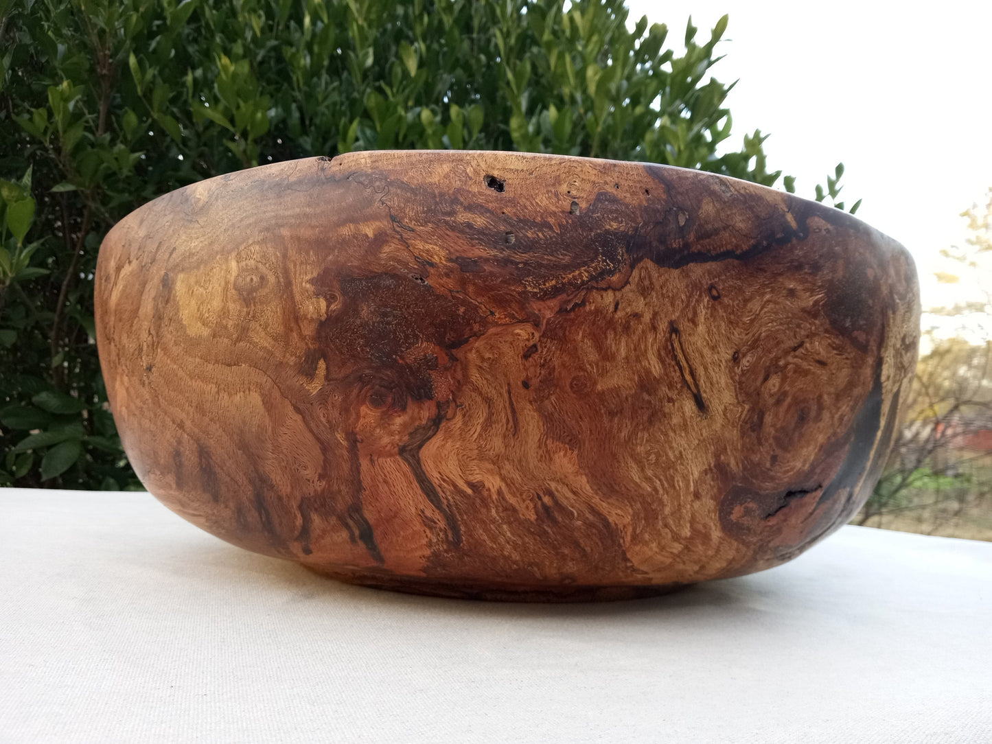 Giant Red Oak Wood Burl Bowl: 19" Rustic Sculpture