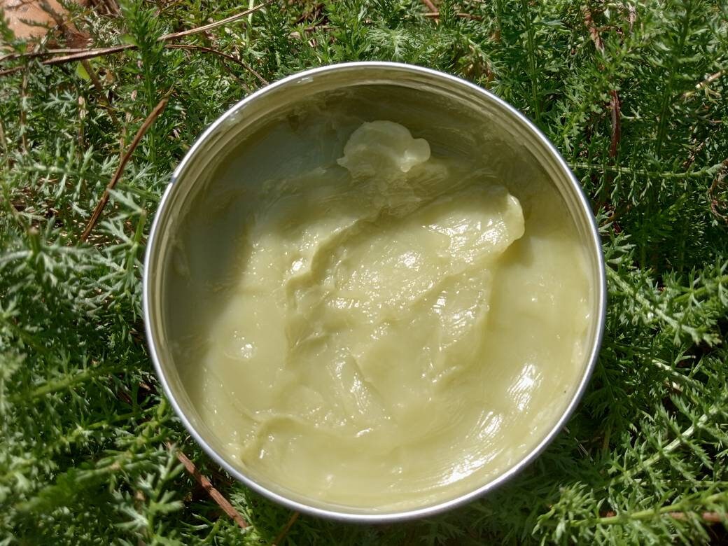 Be Brave Balm with Thyme, Echinacea & Lemon Balm - Handcrafted Herbal Skincare Ointment - Chemical-Free Skin Care - Herbal Salve