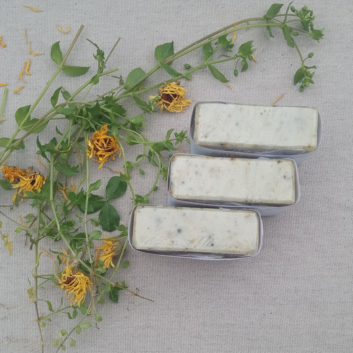 Calendula Soap with Chickweed Herb - Unscented Moisturizing Herbal Soap Bars for Sensitive Skin - Handmade Tallow Soap with Olive Oil