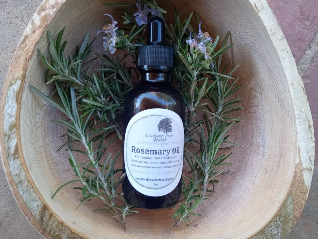 Fresh Organic Rosemary Infused Olive Oil for Natural Hair Care - Aromatic Herbal Carrier Oil for Forest Perfume Base - 2oz Rosemary Oil