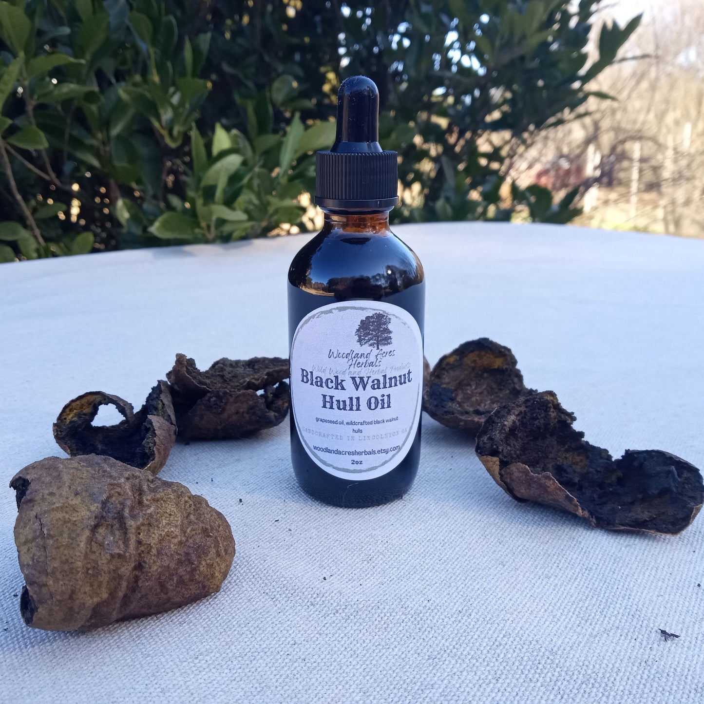 Black Walnut Hull Oil: Wildcrafted Herbal Infused Grapeseed Oil (2oz)