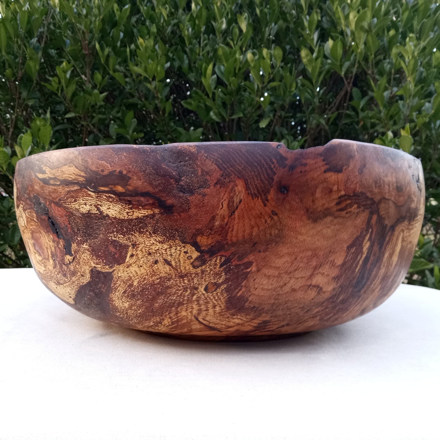 Giant Red Oak Wood Burl Bowl: 19" Rustic Sculpture