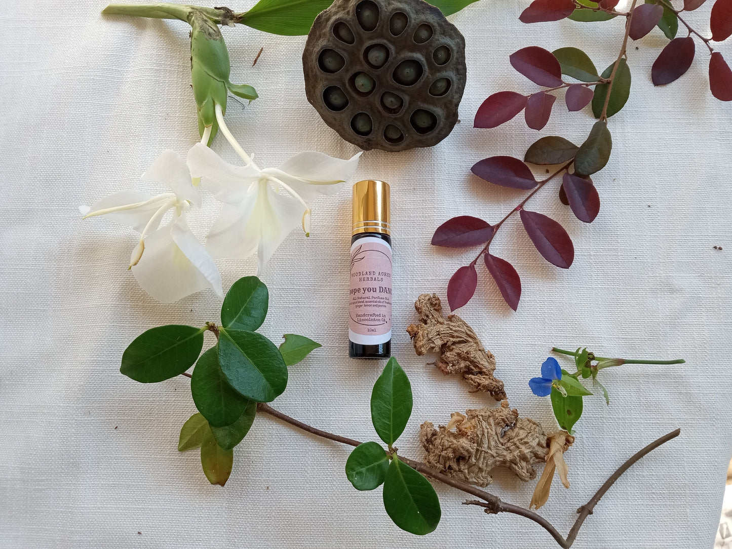 i hope you DANCE - Ylang Ylang Perfume Roller with Ginger Oil & Frankincense - Essential Oil Roll-On for Women - Natural Fragrance for Her