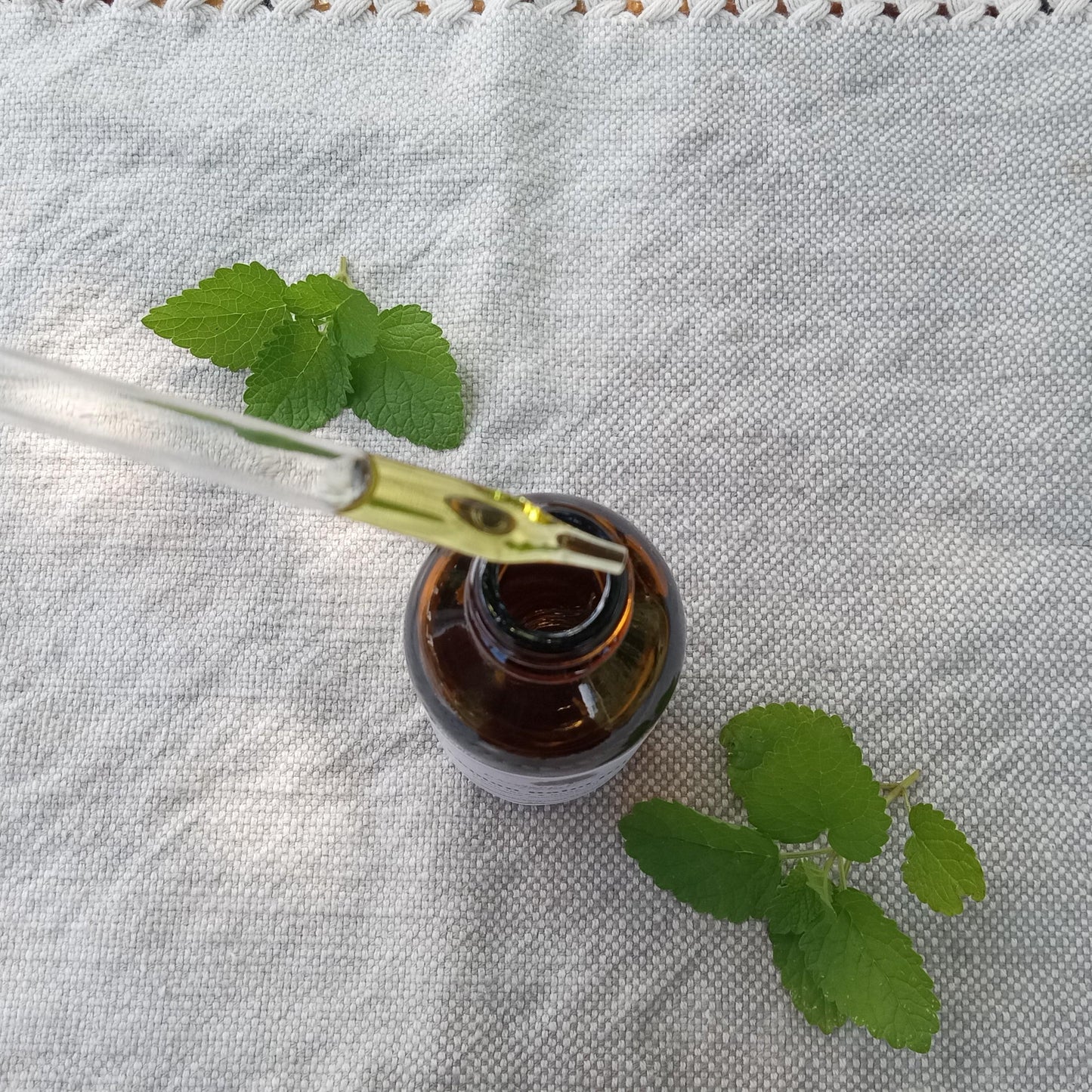 Lemon Balm Infused Grapeseed Oil for Natural Skincare - Calming Herbal Face & Body Oil - 2oz Fragrant Carrier Oil for DIY Perfume