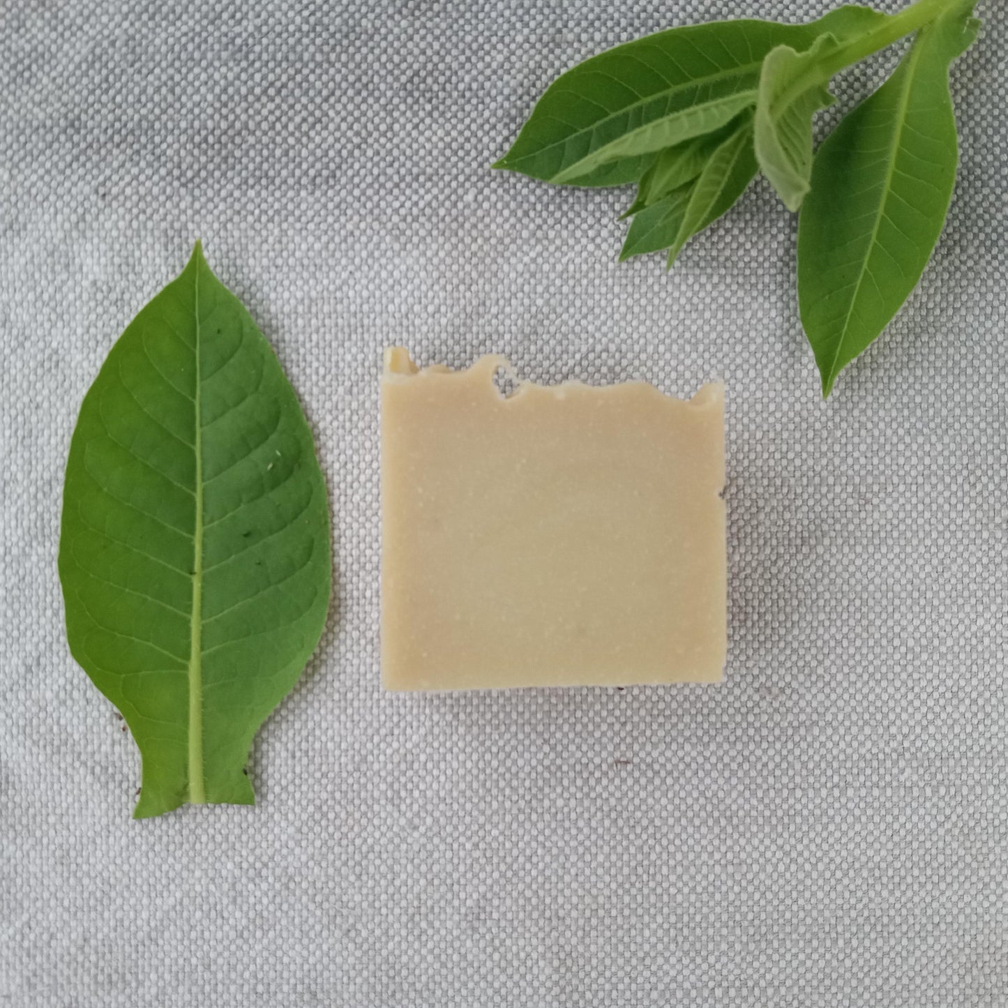 Tobacco & Neem Oil Soap for Men Handmade with Olive Oil, Shea Butter and Tallow Infused with Fresh Tobacco, Scented with Pure Essential Oils