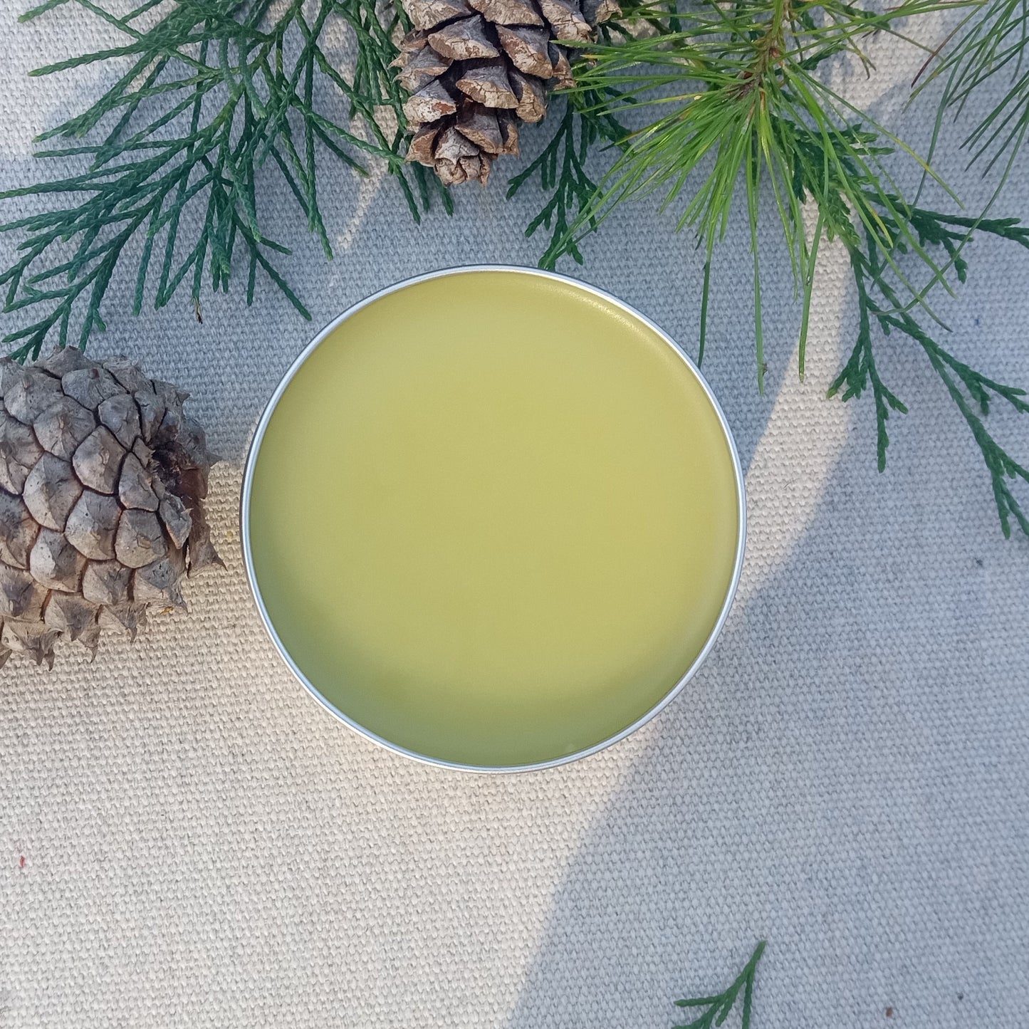 Strong Sinus Salve with Pine Sap, Bee Balm, Peppermint, Eucalyptus & Thyme - Natural Chemical-Free Herbal Chest Rub - Stuffy Nose Relief