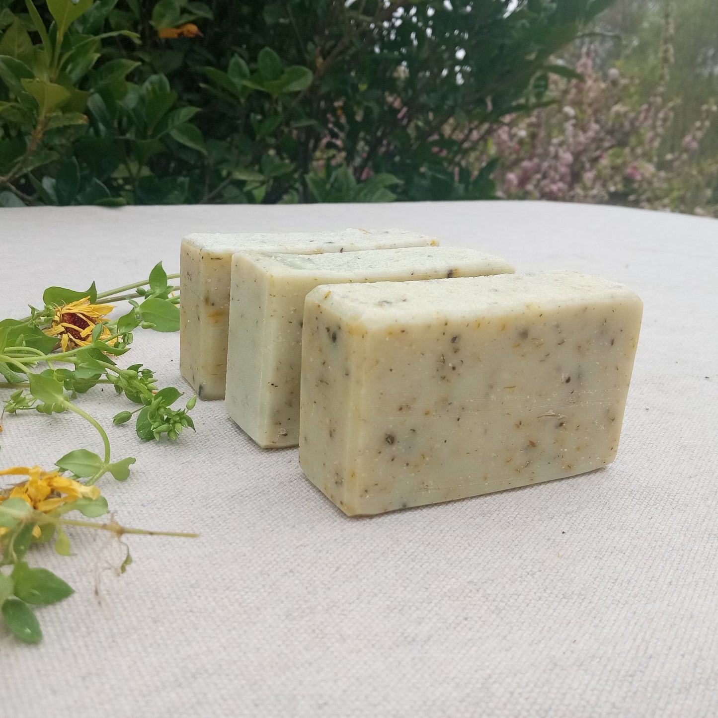 Calendula Soap with Chickweed Herb - Unscented Moisturizing Herbal Soap Bars for Sensitive Skin - Handmade Tallow Soap with Olive Oil