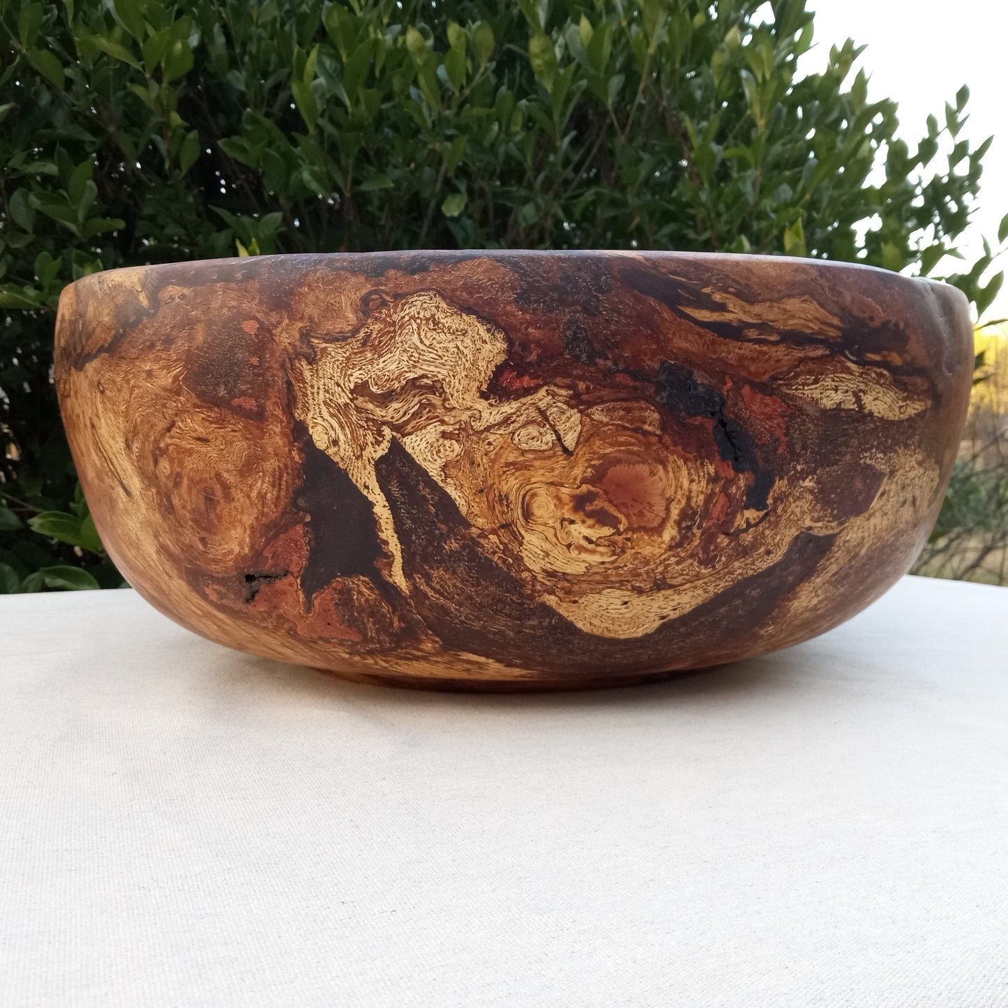 Giant Red Oak Wood Burl Bowl: 19" Rustic Sculpture