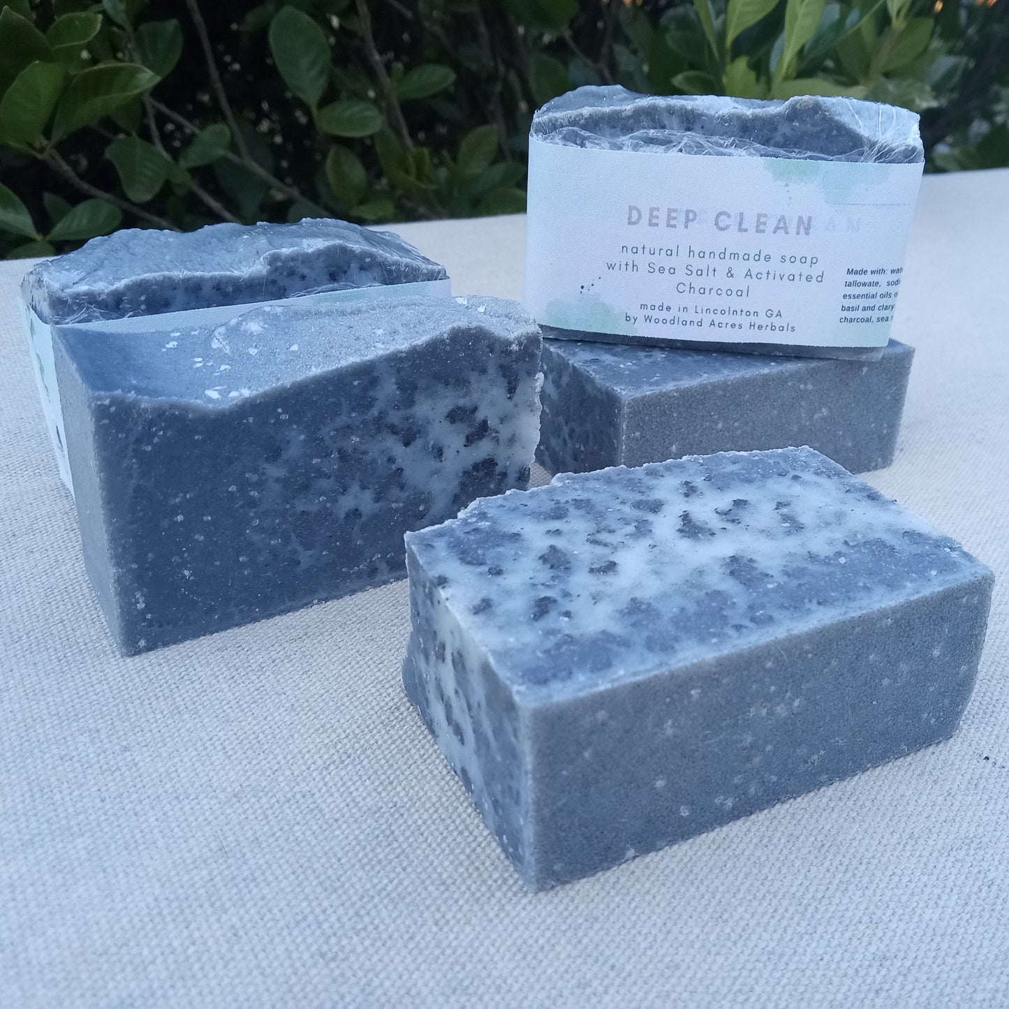 Charcoal & Sea Salt Soap: Tallow, Coconut Oil Bars, Handmade