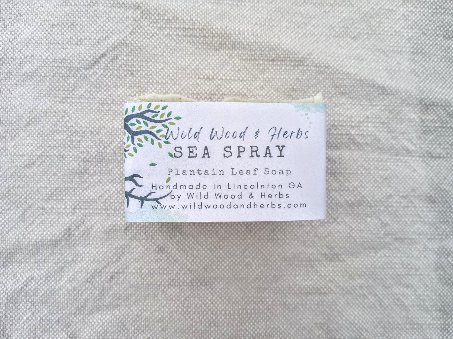 Sea Spray - Plantain Leaf Soap for Sensitive Skin Handmade with Moisturizing Tallow & Olive Oil and Scented with Lemongrass Essential Oil - Herbal Soap