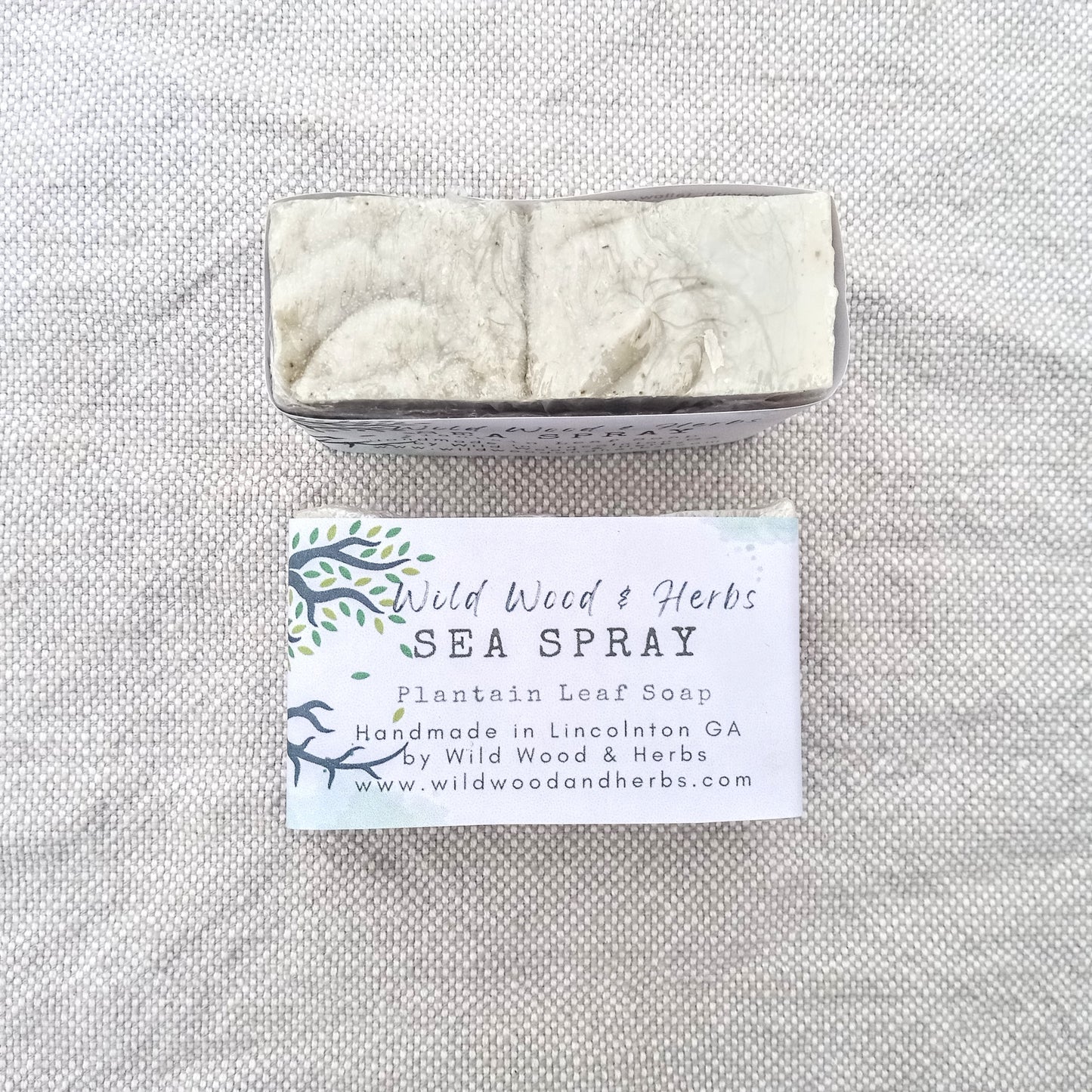 Sea Spray - Plantain Leaf Soap for Sensitive Skin Handmade with Moisturizing Tallow & Olive Oil and Scented with Lemongrass Essential Oil - Herbal Soap