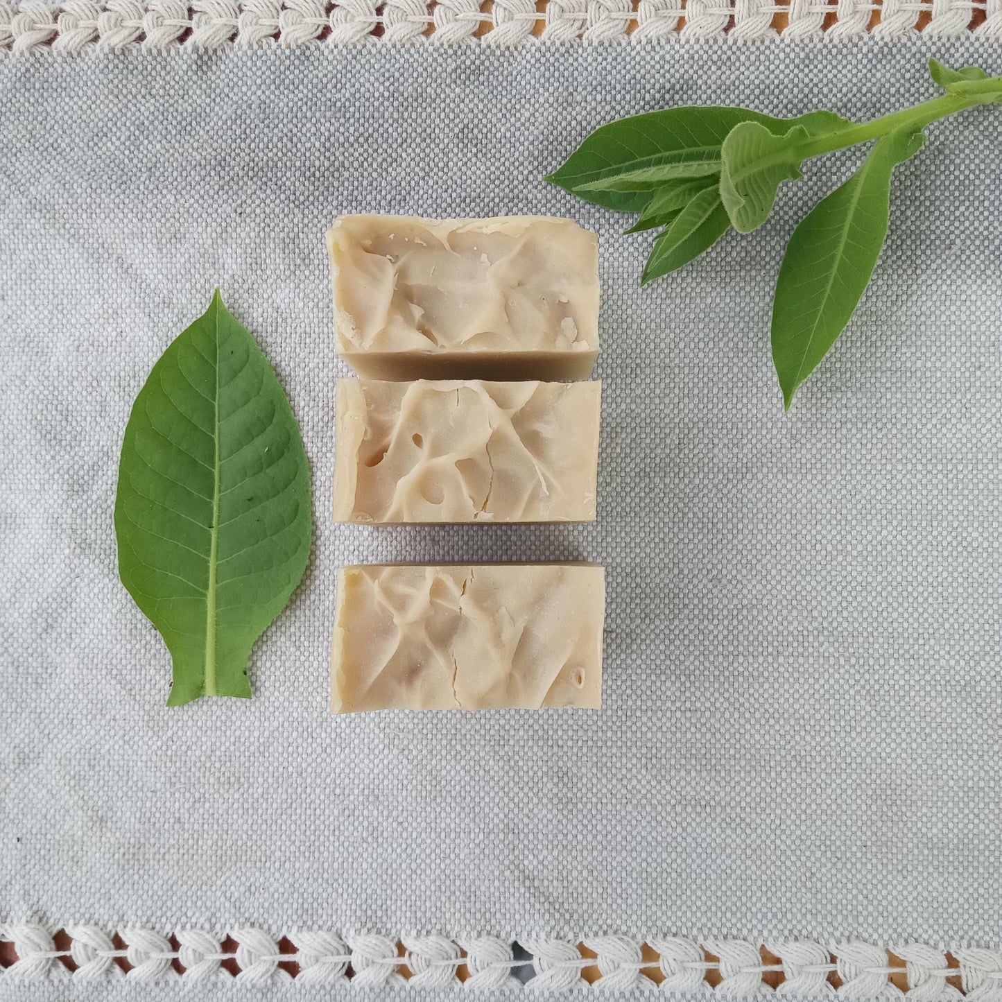 Tobacco & Neem Oil Soap for Men Handmade with Olive Oil, Shea Butter and Tallow Infused with Fresh Tobacco, Scented with Pure Essential Oils
