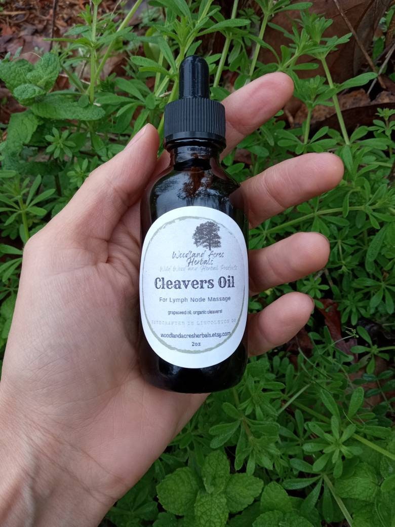 Cleavers Oil for Lymph Massage - Soothing Herbal Oil for Swollen Glands - Grapeseed Oil Infused with Organic Cleavers for Breast Massage