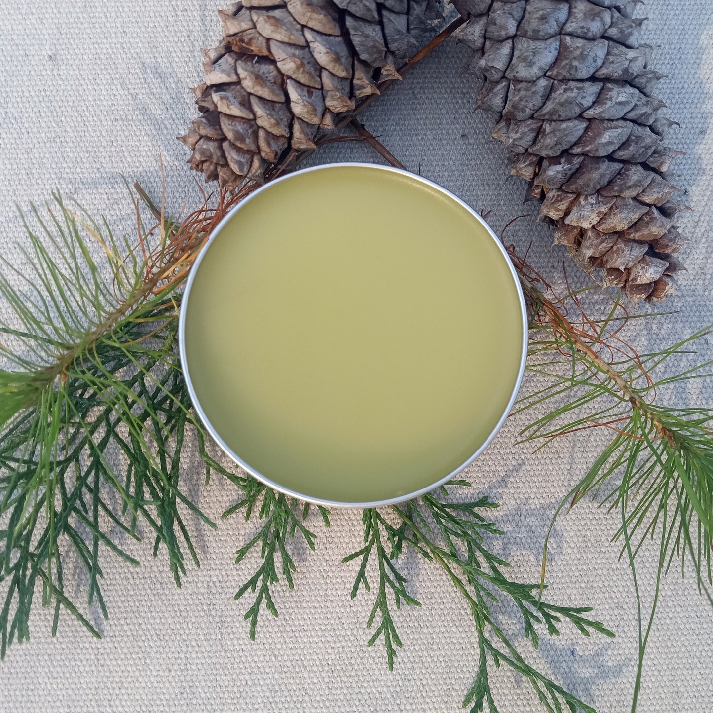 Strong Sinus Salve with Pine Sap, Bee Balm, Peppermint, Eucalyptus & Thyme - Natural Chemical-Free Herbal Chest Rub - Stuffy Nose Relief