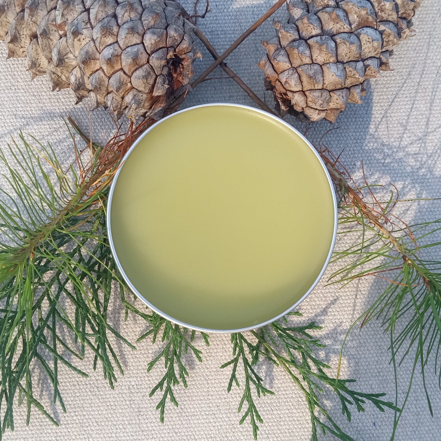 Pine Salve with Juniper Berries and Rosemary - Fragrant Herbal Salve for Massage - Wildcrafted All-Purpose Salve