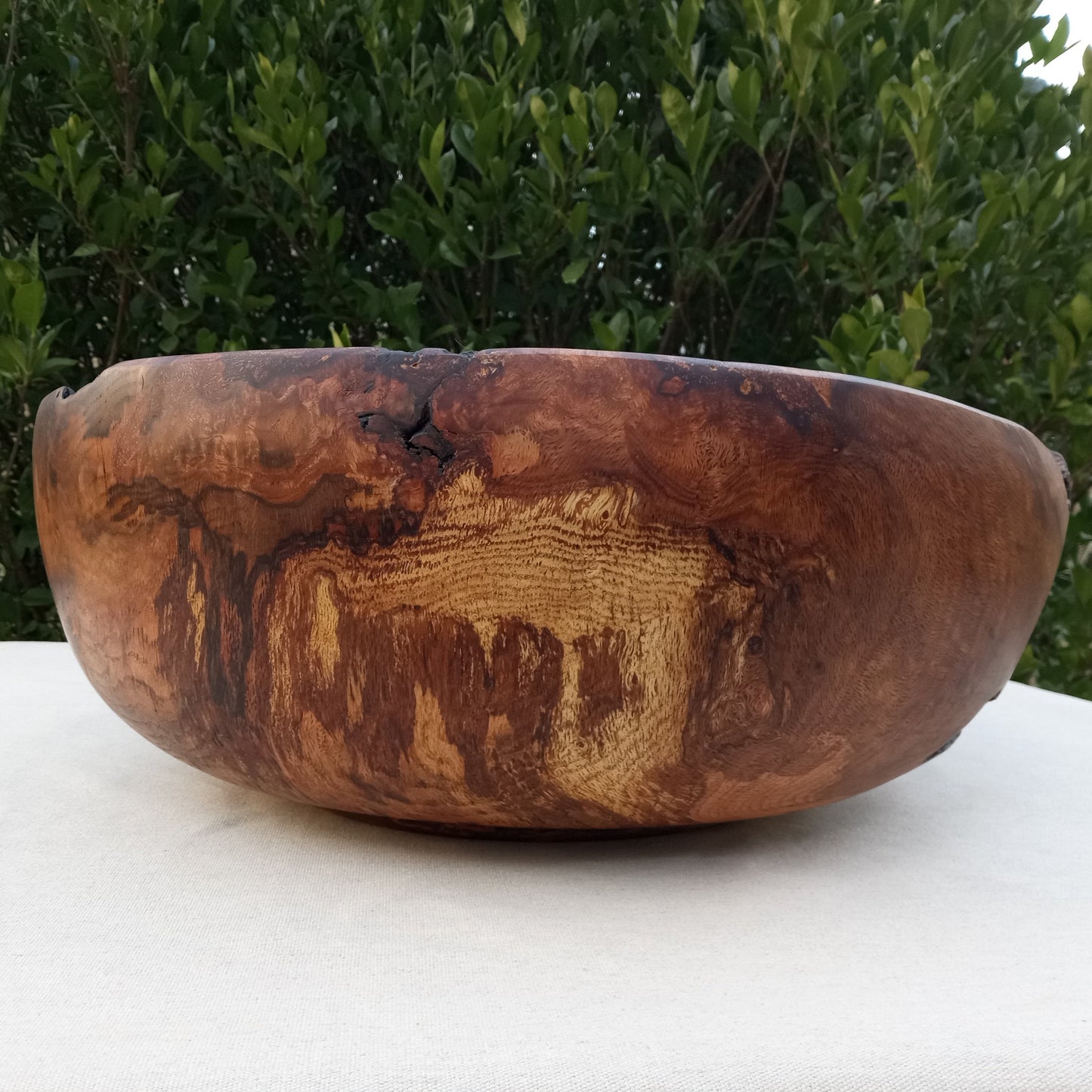 Giant Red Oak Wood Burl Bowl: 19" Rustic Sculpture