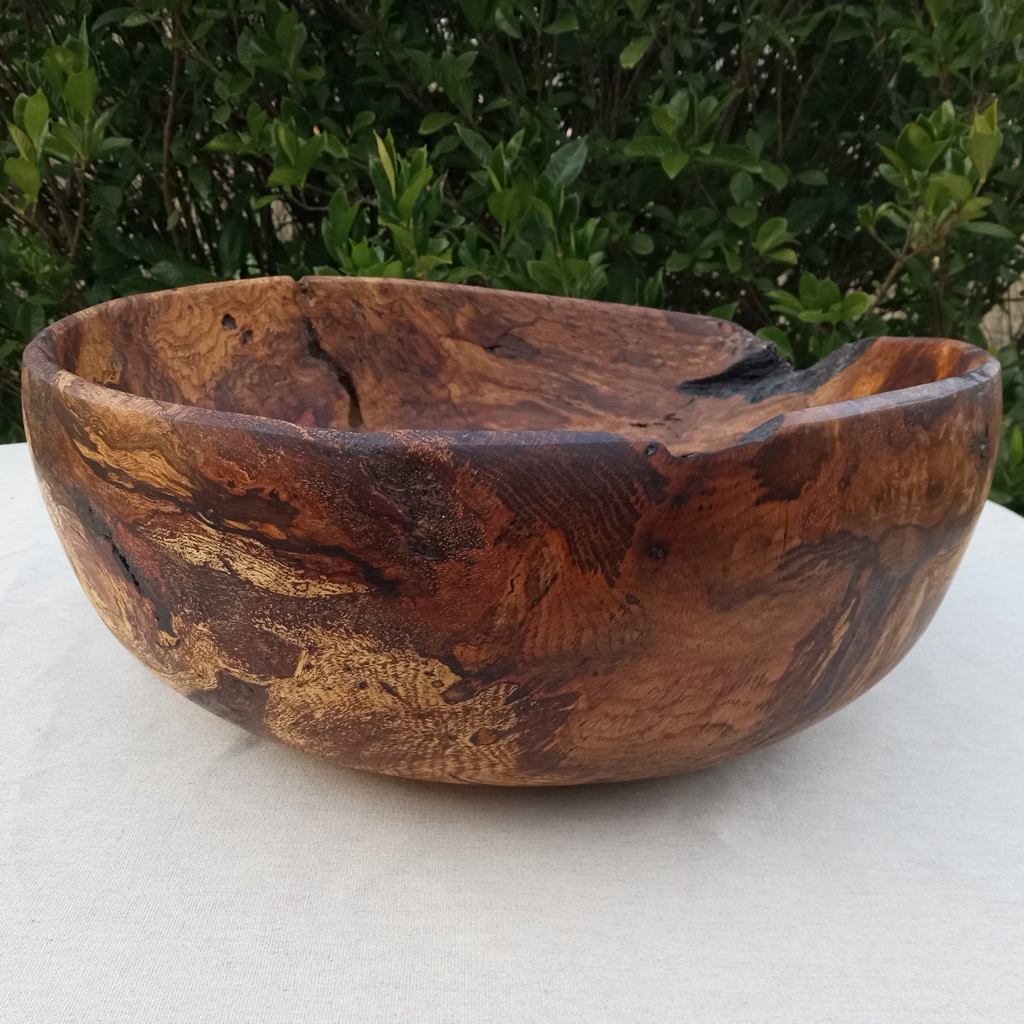 Giant Red Oak Wood Burl Bowl: 19" Rustic Sculpture