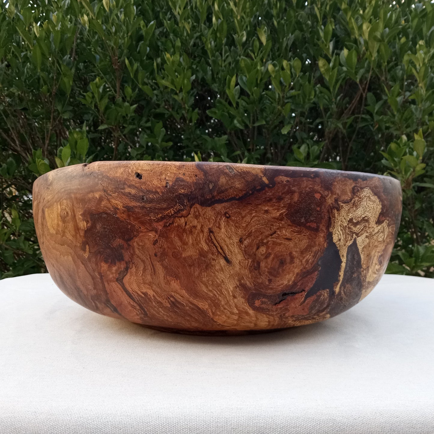 Giant Red Oak Wood Burl Bowl: 19" Rustic Sculpture