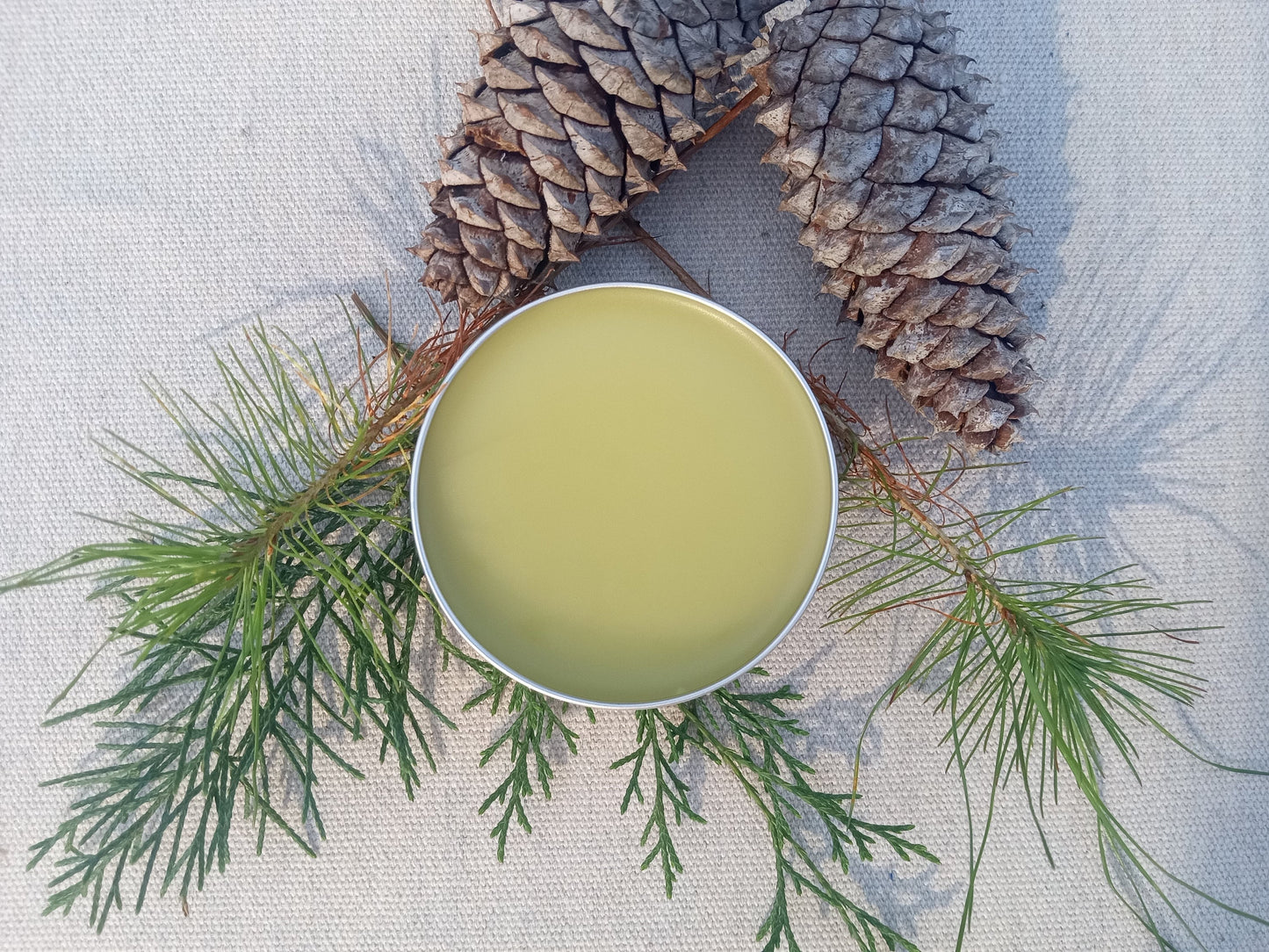 Strong Sinus Salve with Pine Sap, Bee Balm, Peppermint, Eucalyptus & Thyme - Natural Chemical-Free Herbal Chest Rub - Stuffy Nose Relief