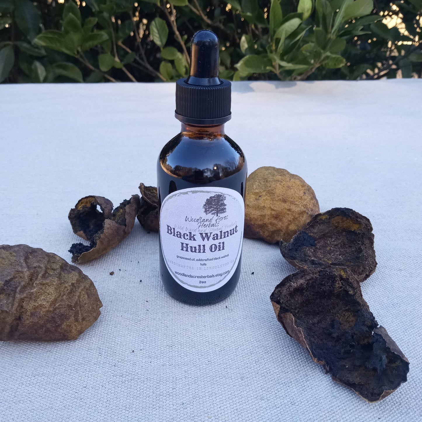 Black Walnut Hull Oil - 2oz Wildcrafted Herbal Oil for Natural Skincare and DIY Soapmaking or Salve - Infused Grapeseed Oil - Nutty Scent
