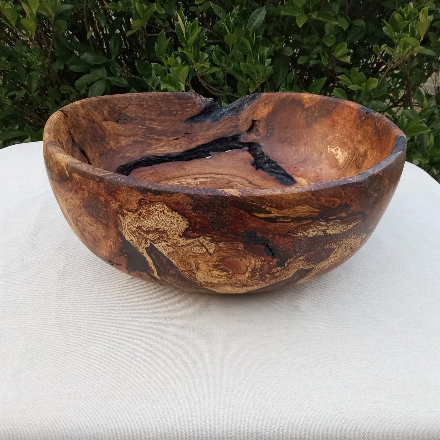 Giant Red Oak Wood Burl Bowl: 19" Rustic Sculpture