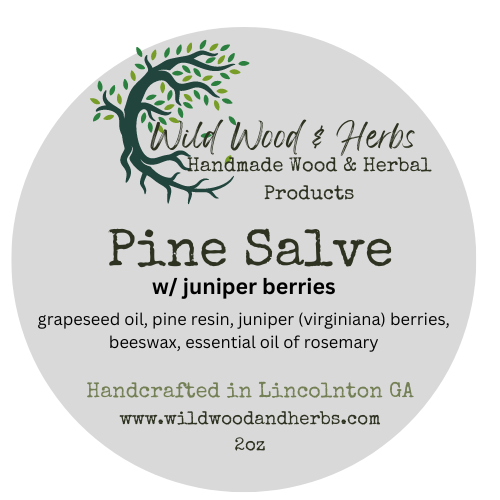 Pine Salve with Juniper Berries and Rosemary - Fragrant Herbal Salve for Massage - Wildcrafted All-Purpose Salve