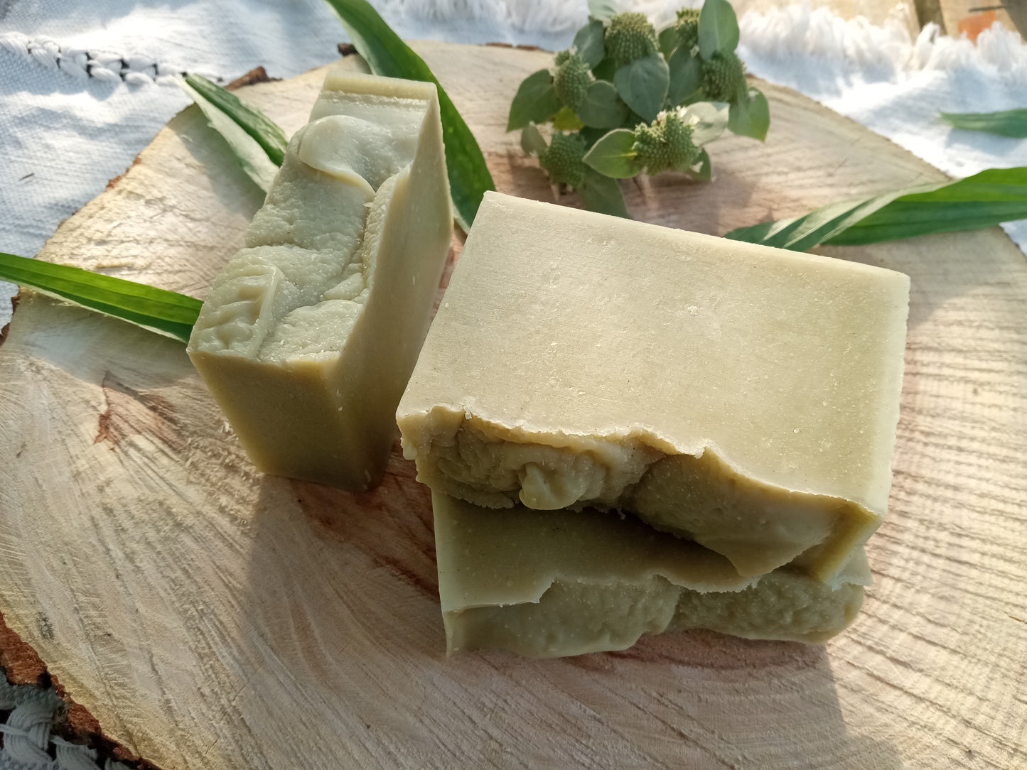 Sea Spray - Plantain Leaf Soap for Sensitive Skin Handmade with Moisturizing Tallow & Olive Oil and Scented with Lemongrass Essential Oil - Herbal Soap