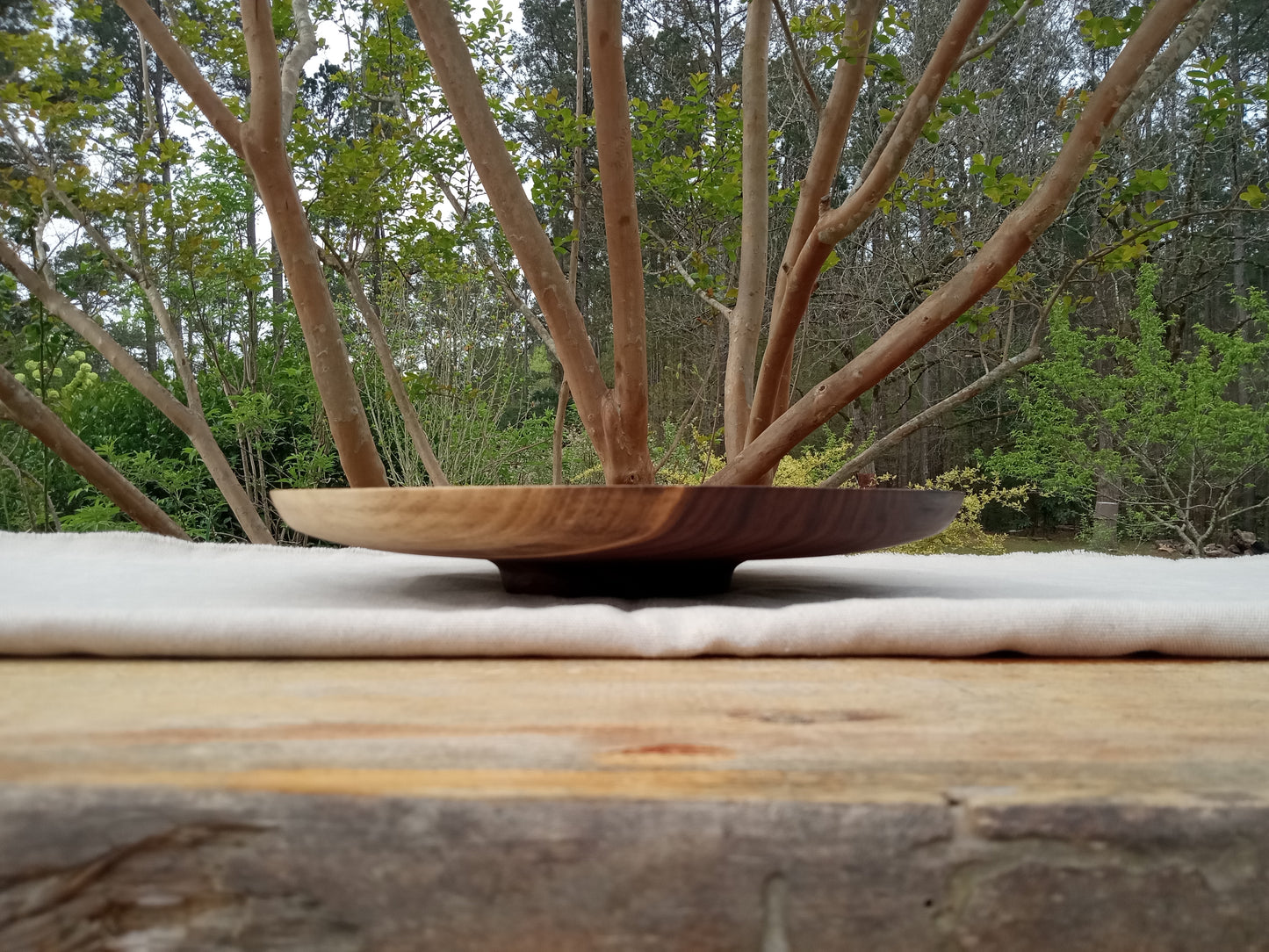 14" Black Walnut Wood Plate - Handmade Wooden Serving Platter - Decorative Low-Profile Wooden Centerpiece - Turned Wood Charcuterie Tray