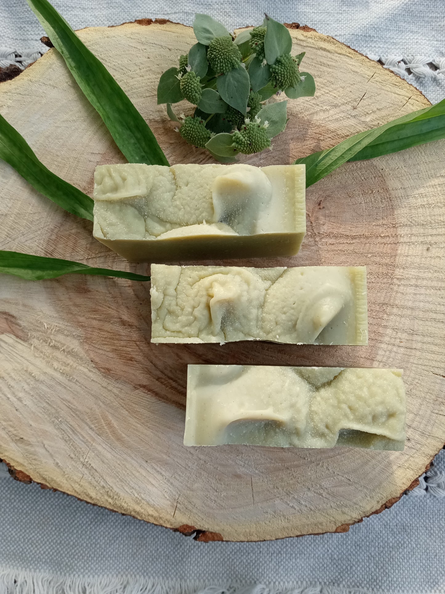 Sea Spray - Plantain Leaf Soap for Sensitive Skin Handmade with Moisturizing Tallow & Olive Oil and Scented with Lemongrass Essential Oil - Herbal Soap