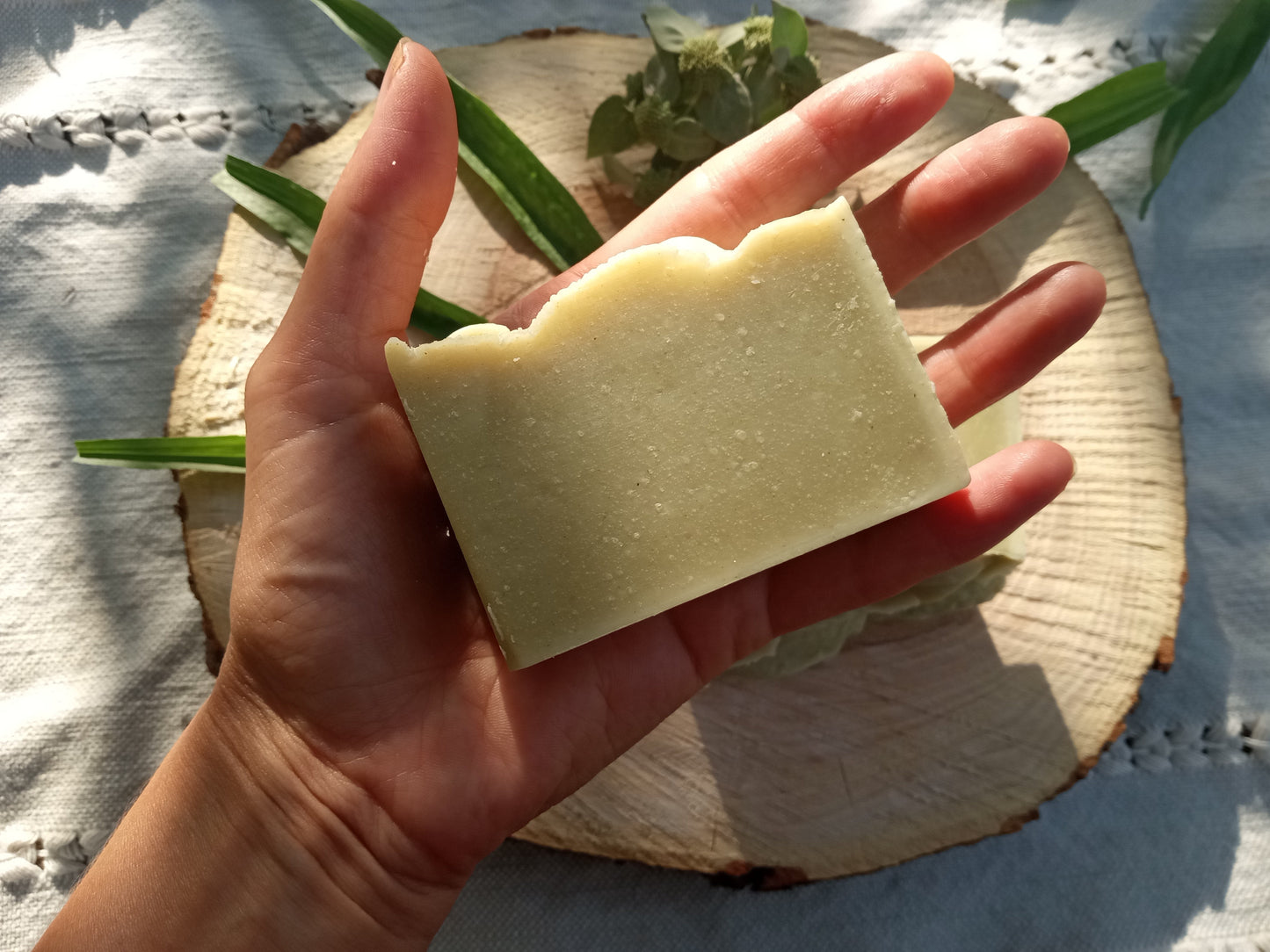 Sea Spray - Plantain Leaf Soap for Sensitive Skin Handmade with Moisturizing Tallow & Olive Oil and Scented with Lemongrass Essential Oil - Herbal Soap