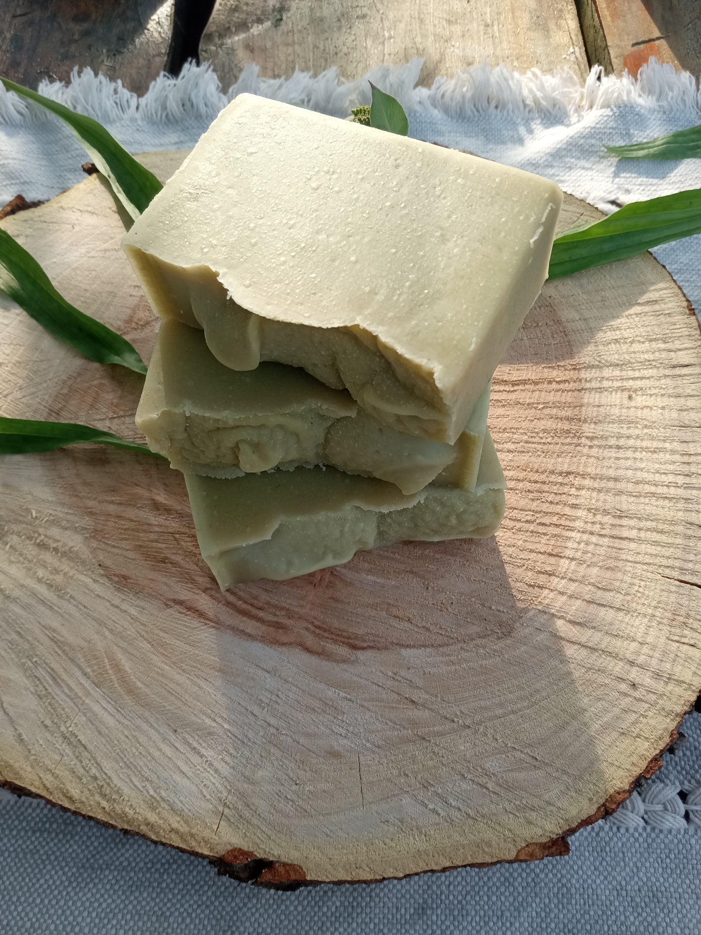 Sea Spray - Plantain Leaf Soap for Sensitive Skin Handmade with Moisturizing Tallow & Olive Oil and Scented with Lemongrass Essential Oil - Herbal Soap