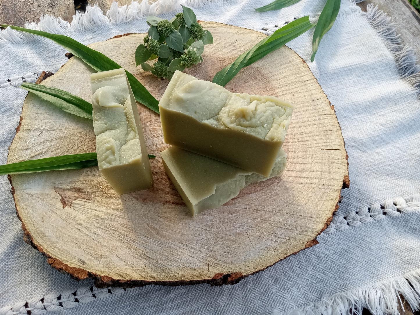 Sea Spray - Plantain Leaf Soap for Sensitive Skin Handmade with Moisturizing Tallow & Olive Oil and Scented with Lemongrass Essential Oil - Herbal Soap