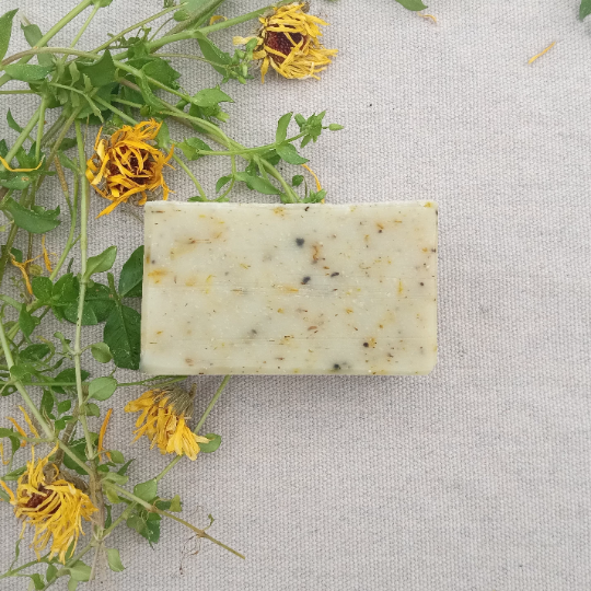 Herbal Shampoo & Body Bars