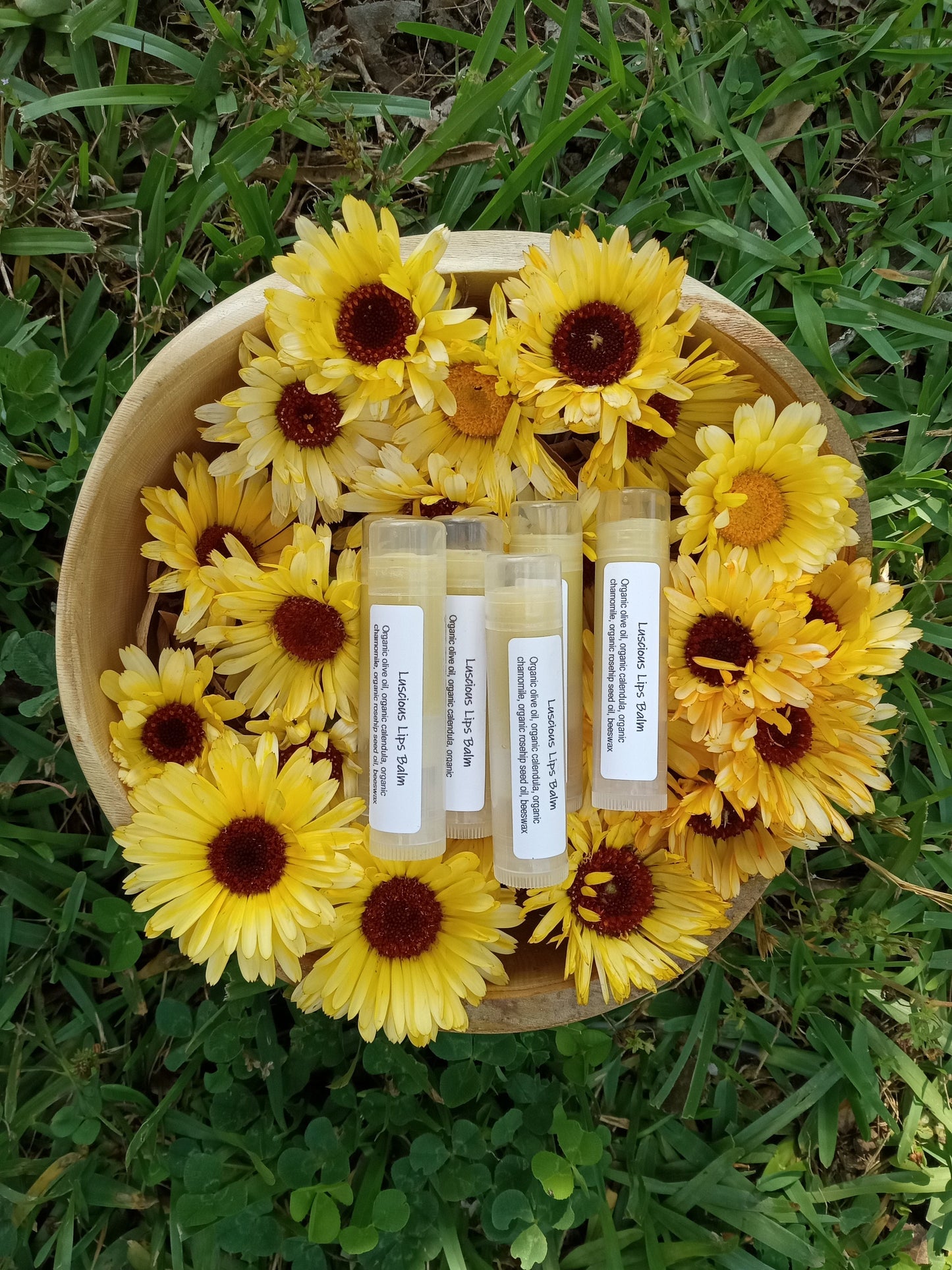 Herbal Lip Balm Infused with Calendula & Chamomile - Natural Olive Oil and Beeswax Lip Balm with Rosehip Seed Oil - Natural Skincare