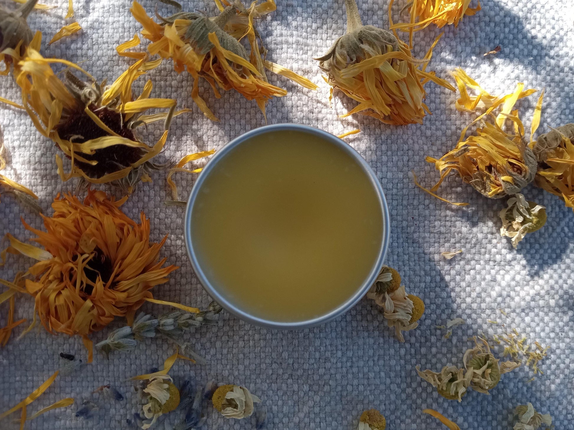 a tin of golden salve set on pale blue woven cotton with yellow calendula and chamomile flowers scattered around