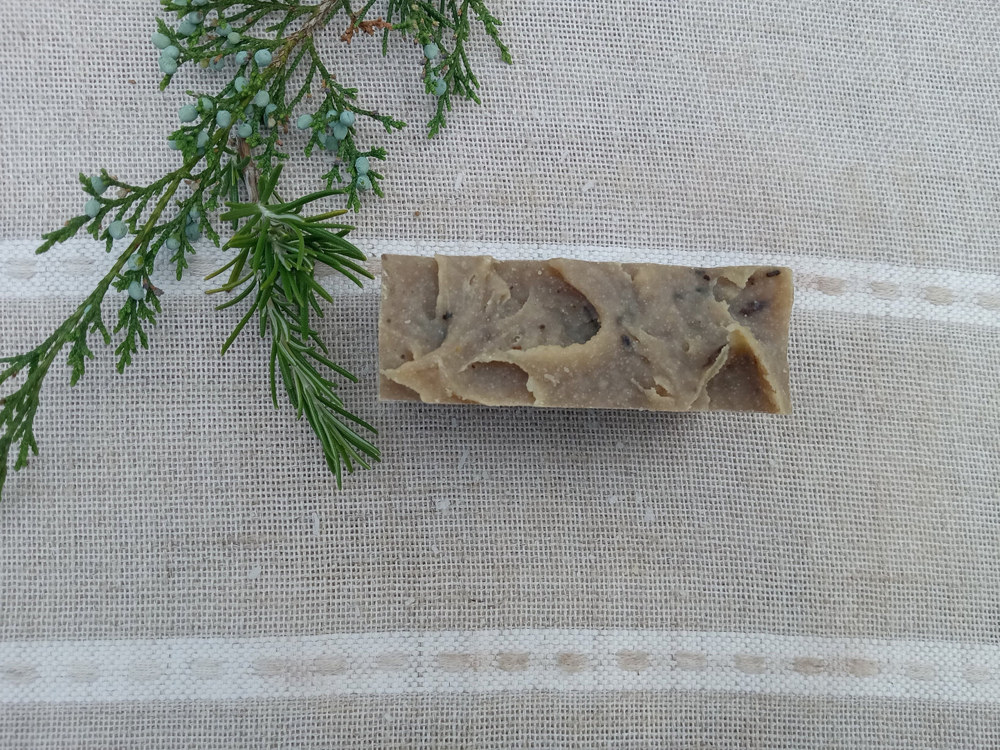 Earth Soak - Pine Soap with Rosemary & Vetiver Essential Oil - Vegan Friendly Shea Butter Soap with Coconut and Olive Oil - Natural Herbal Soap for Guys