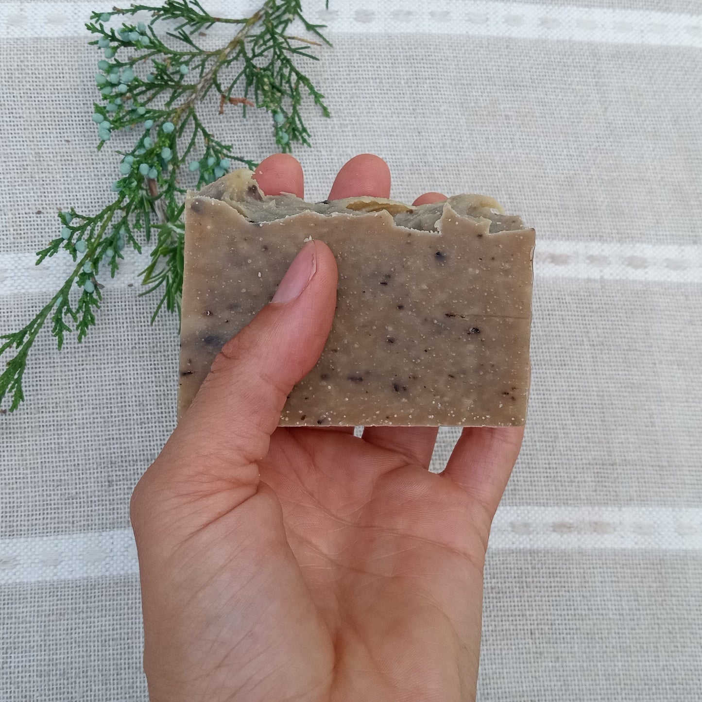 Earth Soak - Pine Soap with Rosemary & Vetiver Essential Oil - Vegan Friendly Shea Butter Soap with Coconut and Olive Oil - Natural Herbal Soap for Guys