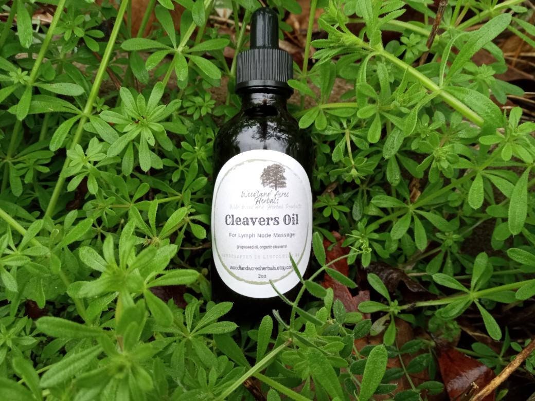 Cleavers Oil for Lymph Massage - Soothing Herbal Oil for Swollen Glands - Grapeseed Oil Infused with Organic Cleavers for Breast Massage
