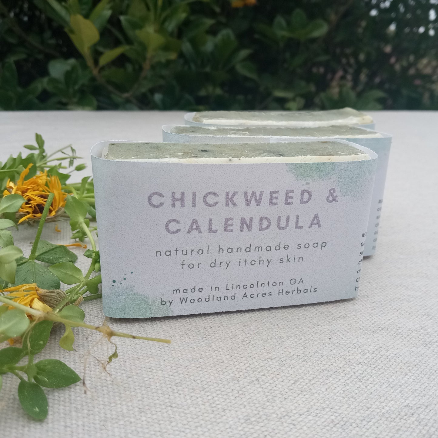 Calendula Soap with Chickweed Herb - Unscented Moisturizing Herbal Soap Bars for Sensitive Skin - Handmade Tallow Soap with Olive Oil