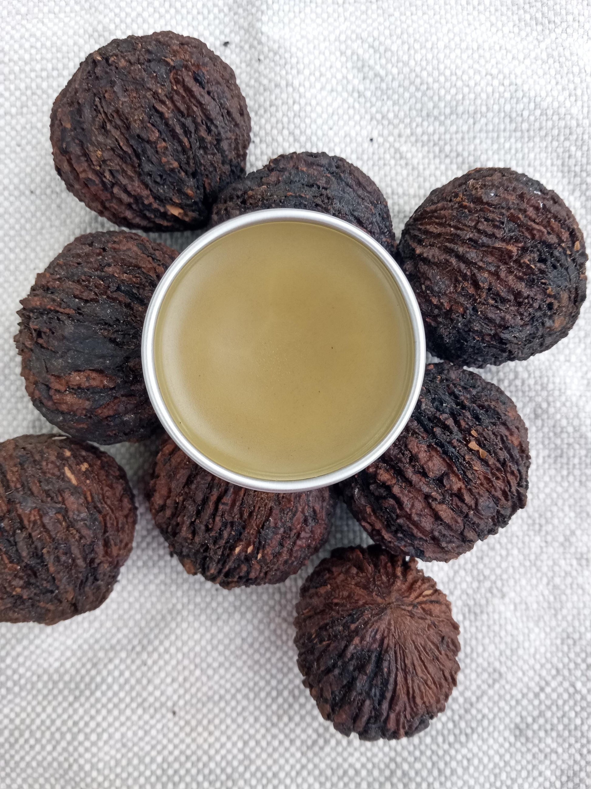 a tin of brown salve set on a pile of black walnuts arranged on white linen