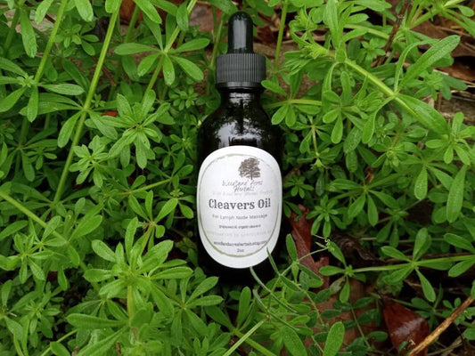 Cleavers Oil for Lymph Massage - Soothing Herbal Oil for Swollen Glands - Grapeseed Oil Infused with Organic Cleavers for Breast Massage