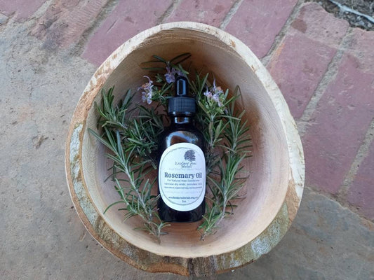 Fresh Organic Rosemary Infused Olive Oil for Natural Hair Care - Aromatic Herbal Carrier Oil for Forest Perfume Base - 2oz Rosemary Oil