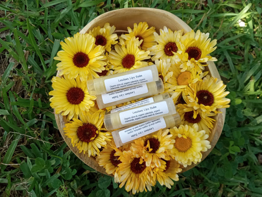 Herbal Lip Balm Infused with Calendula & Chamomile - Natural Olive Oil and Beeswax Lip Balm with Rosehip Seed Oil - Natural Skincare