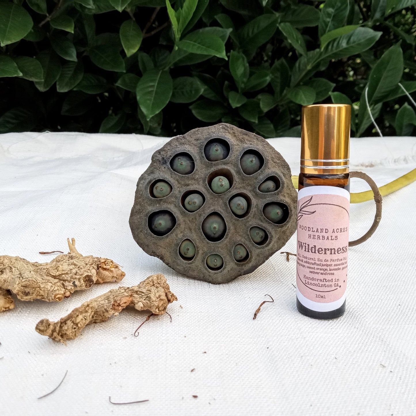 Wilderness - Geranium Essential Oil Perfume Roll-On with Orange & Clary Sage for Women  - Natural Scented Body Oil Roller - Fragrance Gifts